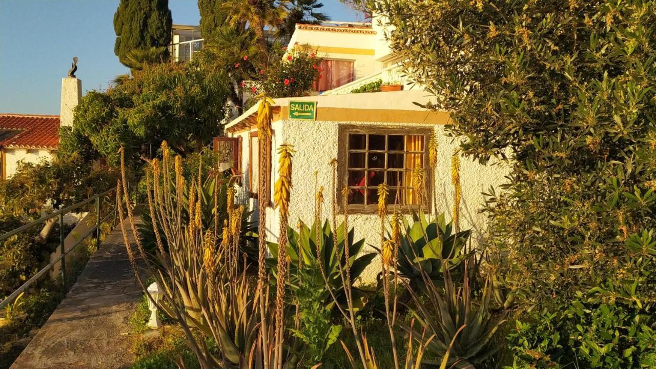 Willkommen im Paradies La Matanza De Acentejo Exteriör bild